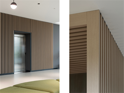 DVO_Recom_Power_Project 9(0)